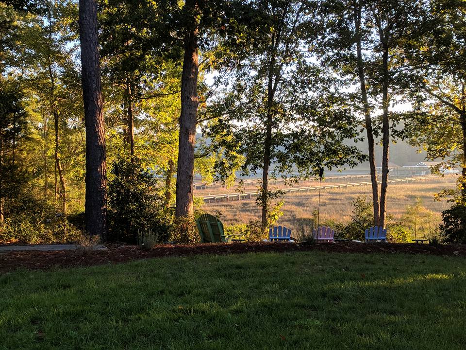 chairs in a grassy lot with trees